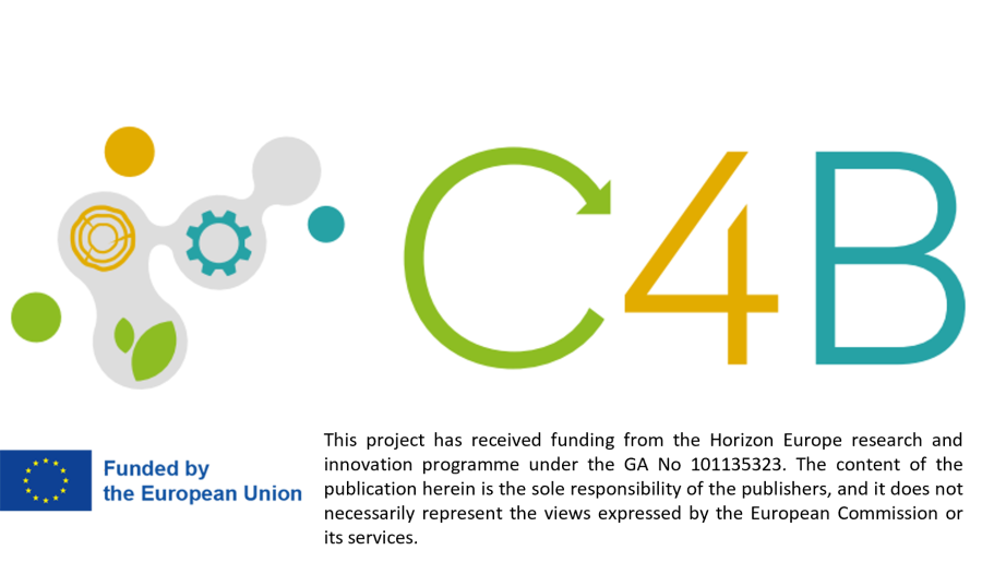 logo progetto C4B